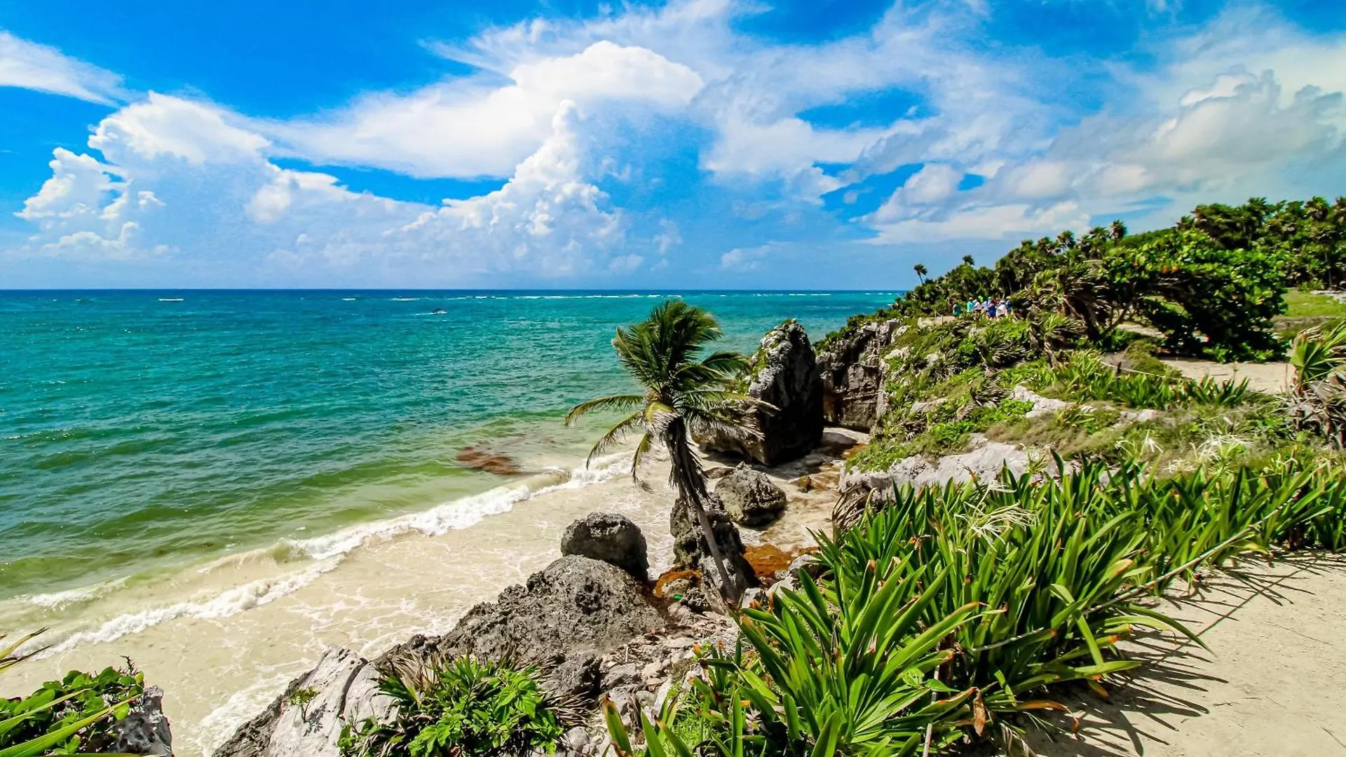 Apartmán Solemn Peaceful 101 At La Veleta Tulum